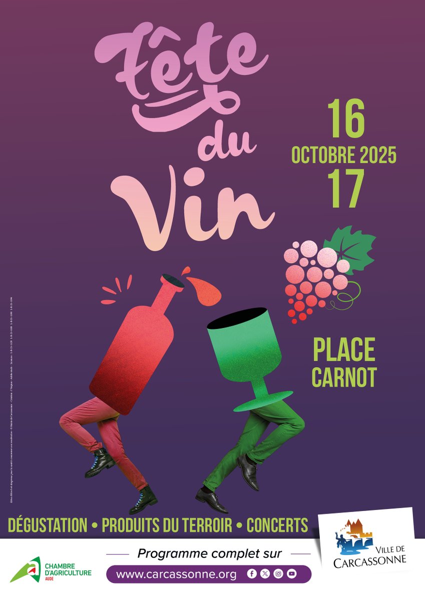 Ville de Carcassonne tweet media