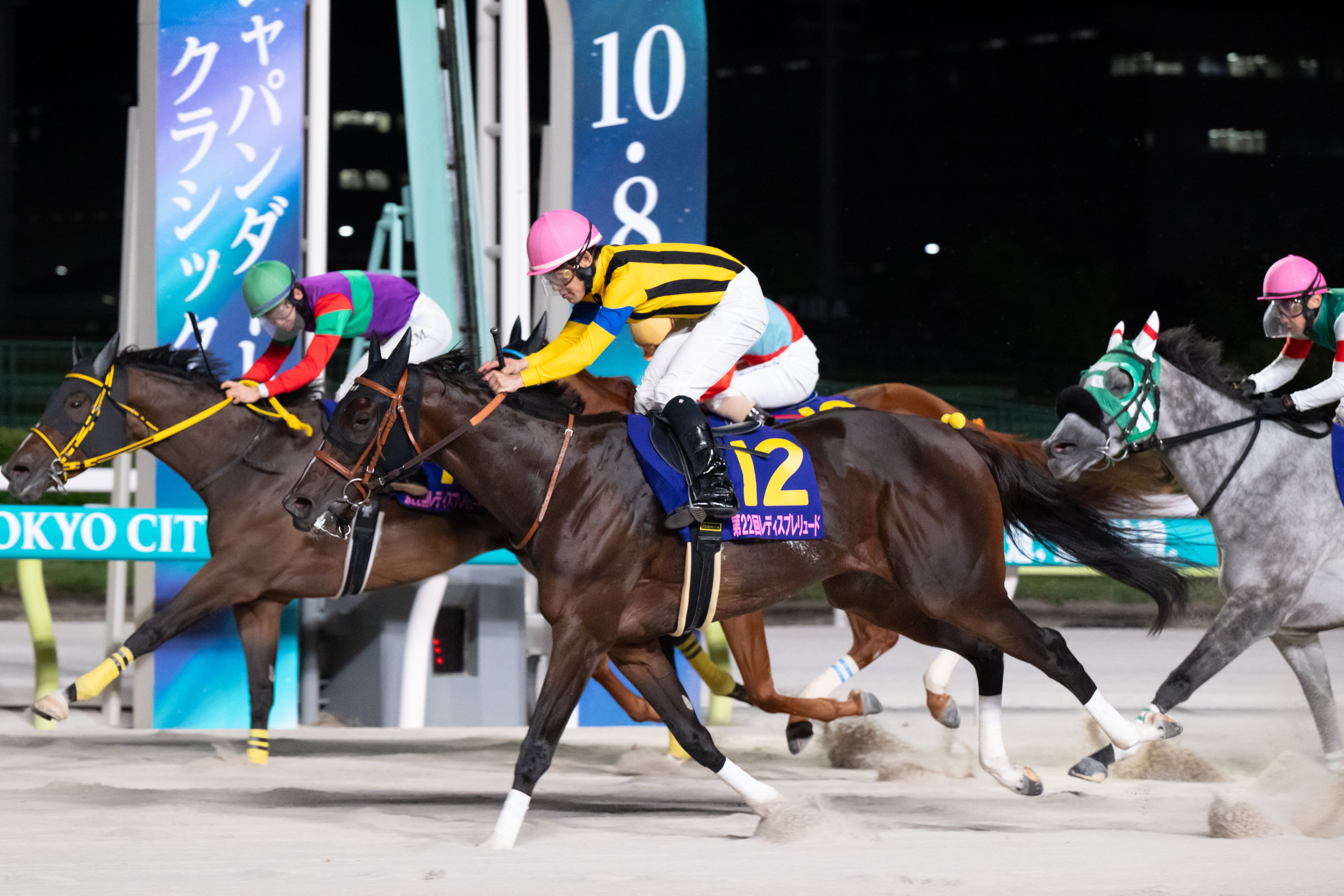 チ*ム様 地方競馬　LADIES JOCKEYS サイン入りジャケット M チ*ム様 地方競馬LADIES JOCKEYS サイン入りジャケット M