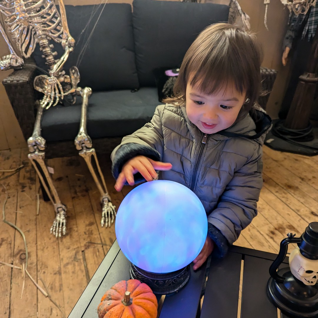 The leaves are vibrant, the air is crisp… and Amazing Autumn Weekends are here!🎃
From our beloved Spooky Barn to pumpkin picking, storytime, seasonal treats, and family movies — each weekend in October offers something special for everyone.
ow.ly/Kczr50WVpXa
📷Vivian N.