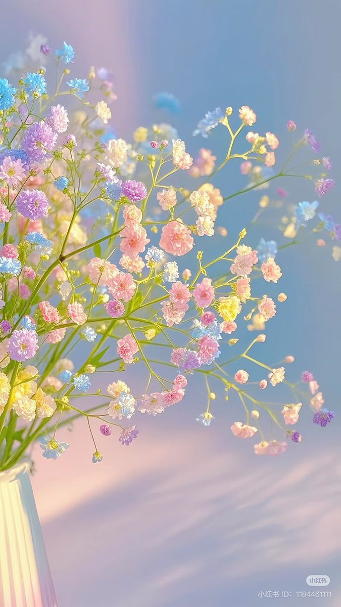DeelrubyRuby's tweet image. Từ chối hết drama, chỉ nhận đồ ăn.