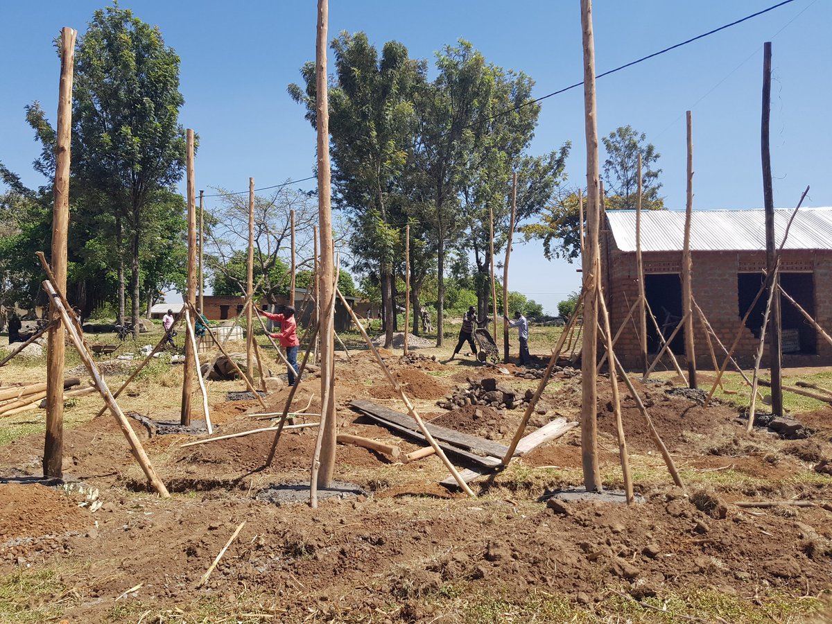 January 2019
I was putting up my very first chicken house in my father's compound. I had a big dream and used what was available to me to get the ball rolling. I had no idea how crazy my life would turn out! Crazy beauty!