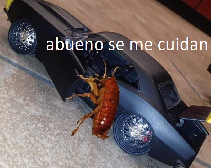 Estoy en directo!🔴 Voy a hacer stream para los bots que no hablan (twitch things)

TWITCH: eldelabarrapan