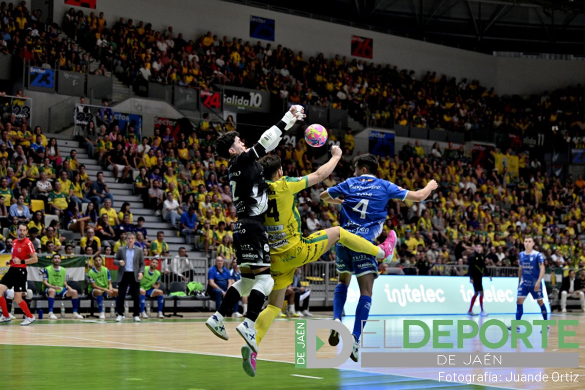 eldeportedejaen's tweet photo. 🟡 Repasamos las imágenes más destacadas del partido entre Jaén FS y Manzanares y de la afición en el Olivo Arena

📸 Fotos de @JuandeOrBea 

Galería completa aquí⤵️
https://t.co/5kZWbv174W https://t.co/eJVZVxnv8D