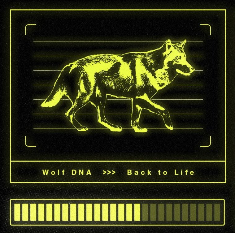 i took the MyHeritage test and this is the result