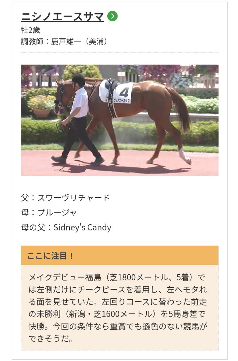 junk7110's tweet photo. サウジアラビアRCはこれで行く予定でしたが、騎乗が津村騎手から三浦騎手
😢
鹿戸厩舎のエースに乗り替わりなのは分かるけど。
前走あれだけいい走りをみせたのは🏇
まぁ、年間回収率マイナスの養分さんの考えなんてどうでもいいかぁ😁
練り直し開始です🐴
#サウジアラビアRC
#ニシノエースサマ https://t.co/Ra0I5R2pip