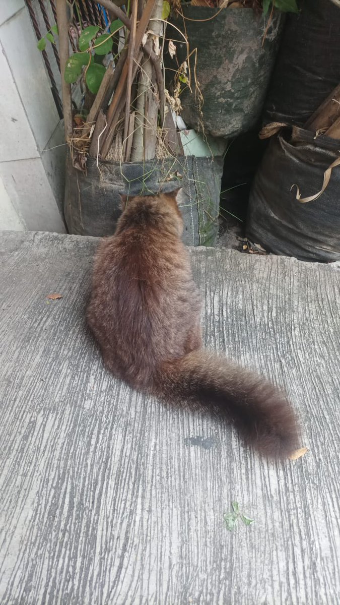 semenjak ada anak jelek iniii. aku jadi ngga punya duit jajan 🖕🏼🖕🏼🖕🏼🖕🏼🖕🏼🖕🏼