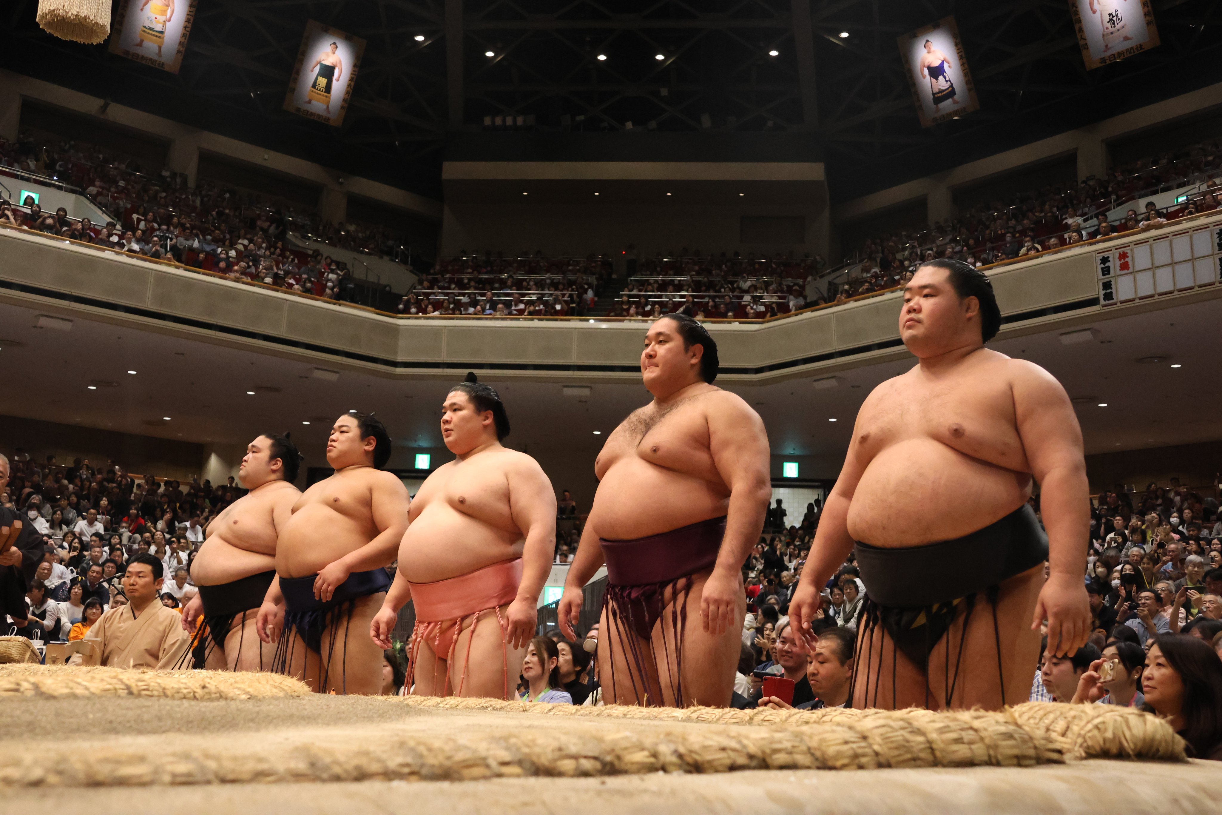 日光東照宮 日光杉 杉 徐災招福 特大 しゃもじ 日光東照宮の杉ギターのご紹介！ | Deviser ｜株式会社ディ