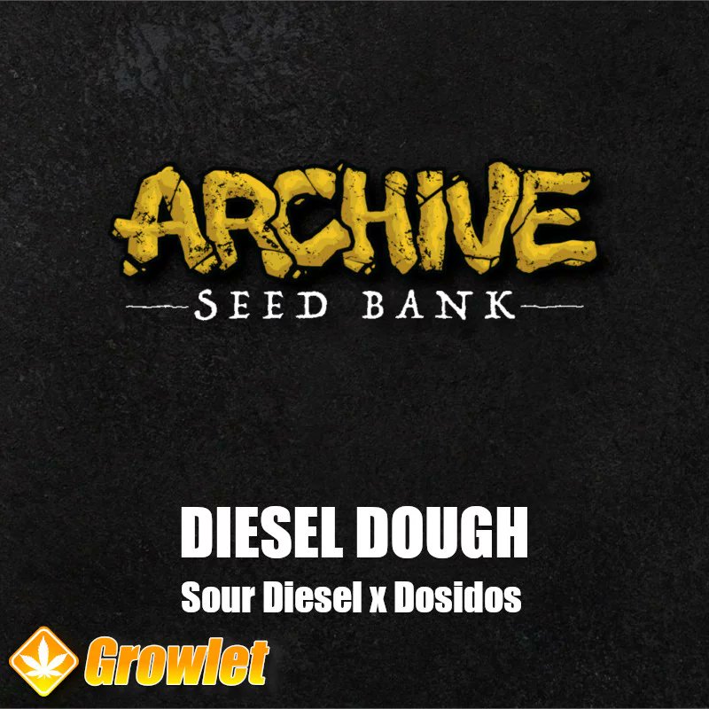 GrowletGrowShop's tweet photo. New Archive Seeds drop is in da house 😎

#growlet

#growlet_grow

#archiveseeds

https://t.co/3POAArnv8T https://t.co/EnTwQtYJrW