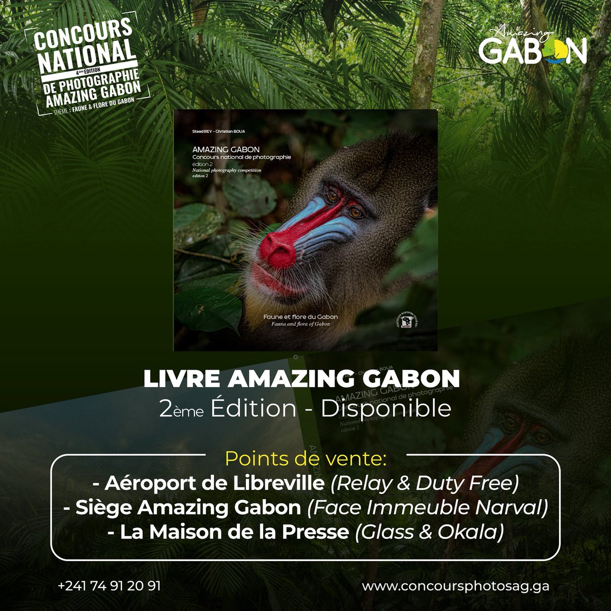 AmazingGabon tweet media