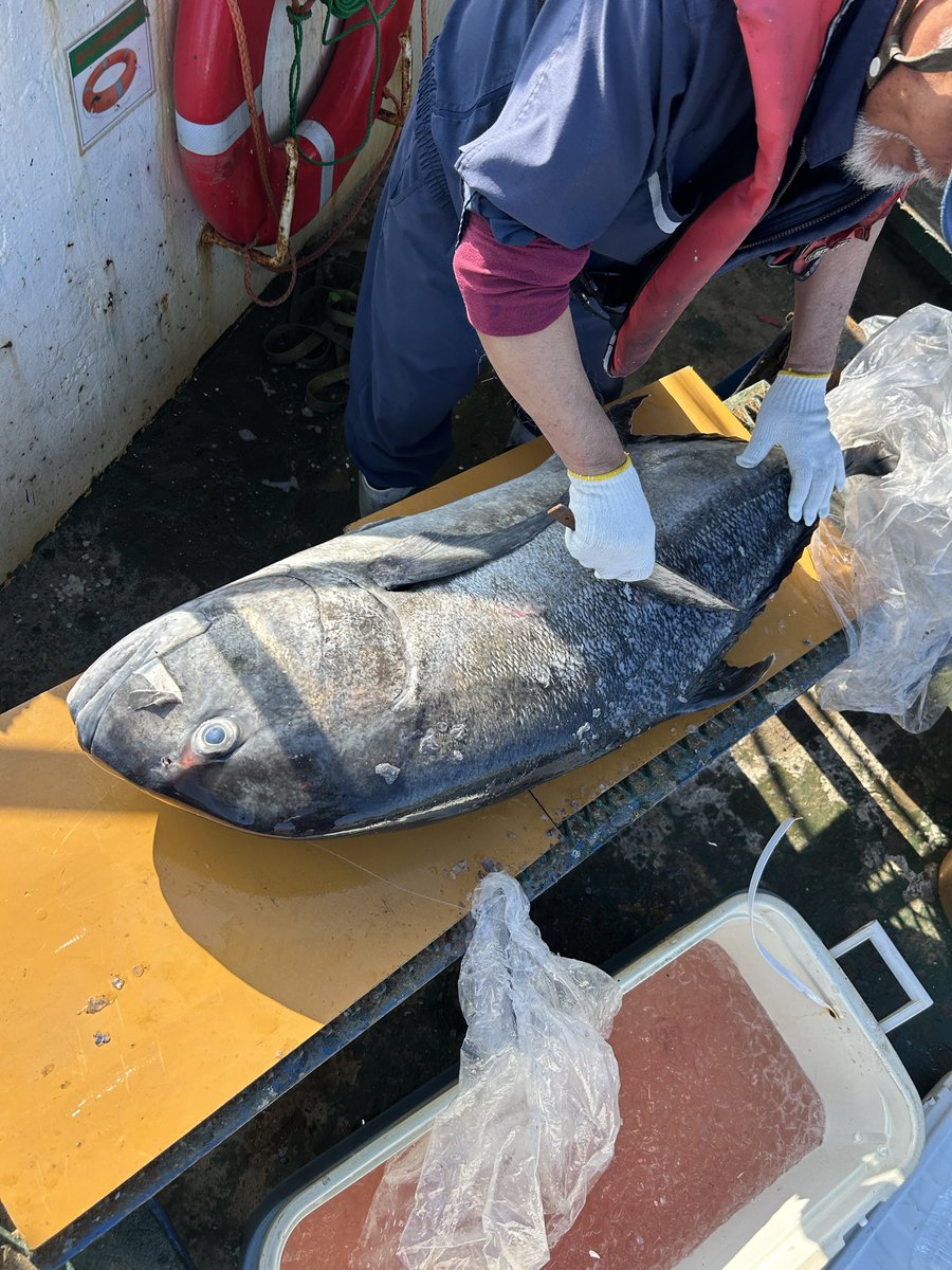 37キロのガーラ！