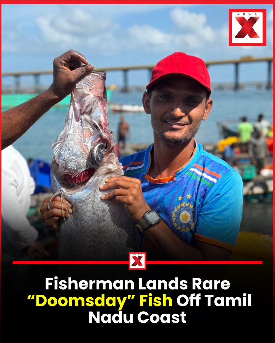 NewsX's tweet photo. Caught in Tamil Nadu waters, this rare “Doomsday” fish has left locals stunned! Nature’s surprises never fail to amaze.
#DoomsdayFish #RareCatch #TamilNaduFishing #NatureWonders #MarineLife https://t.co/o1xYfRVcDR