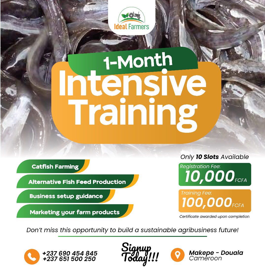 While  praying that change occurs at the top , arm yourself  with a skill  . 

Agriculture is the new Oder of the day .

Wuna see as all candidates Dey talk how thém  go upgrade the agricultural sector noh ?? 

Don’t wait for the last minute