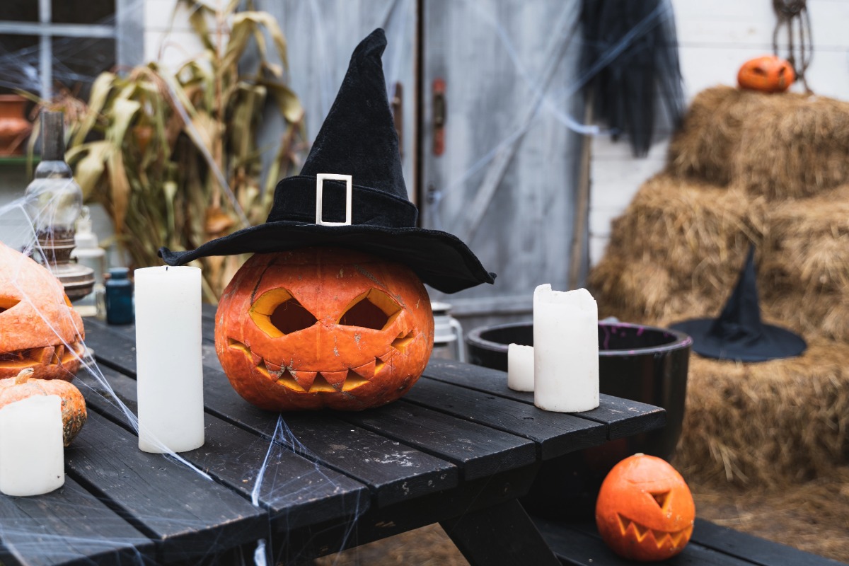 Amazingtentco's tweet image. Hosting a Halloween bash? 🎃

Check out our blog for spooky event tips, from location planning to décor advice: amazingtent.co.uk/halloween-2025…

#Halloween2025 #Halloweenevents #eventtips