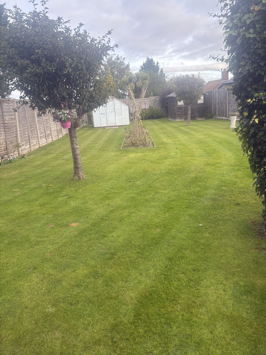 mark barton tweet media