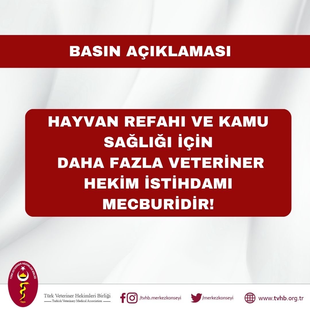 merkezkonseyi's tweet photo. Basın açıklamamızın tamamına internet sitemiz üzerinden erişebilirsiniz.
⬇️

https://t.co/x9f3apw4ss

#veterinerhekimleratamabekliyor https://t.co/1cQE50eS0Z