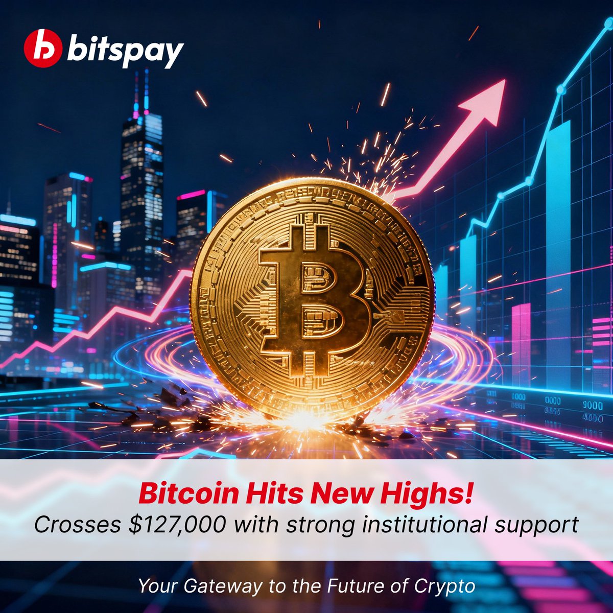 Bitspay (@bitspay_global) on Twitter photo 