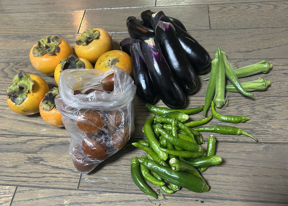 午前中、野菜頂いたの🫛
あと、新米10kgも🌾
でもさ、電車でお米10kg抱えて帰れへんやん⁉️
…お米積んだままロードサービスでダイハツの販売店に運ばれて行ったわ🍚
あ゛ーーーっヽ(´･ω･｀ヽ)
私の令和7年産の新米がーーーっ❣️
と思いながら見送った（¯꒳¯٥)🚙 ⸒⸒
 #シンプルライフ