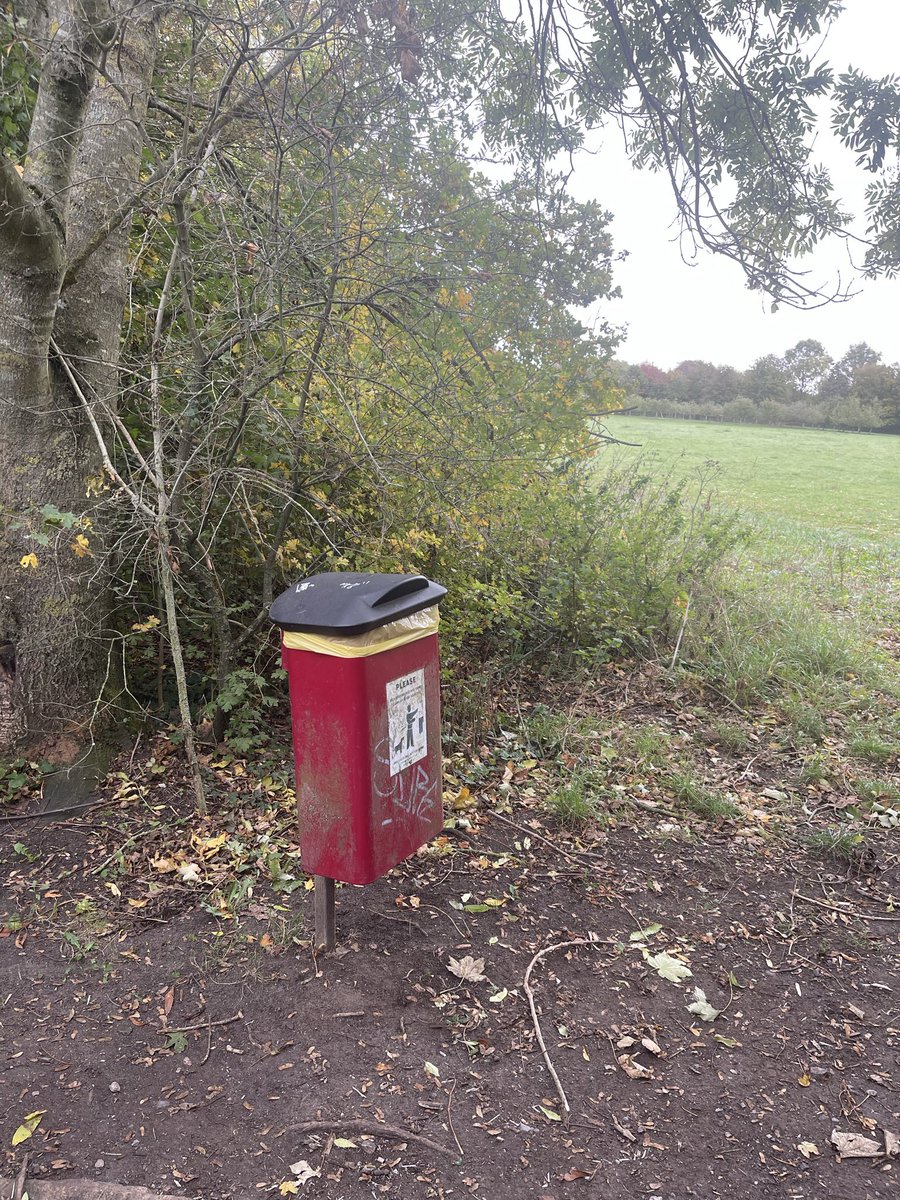 Brian Millin tweet media