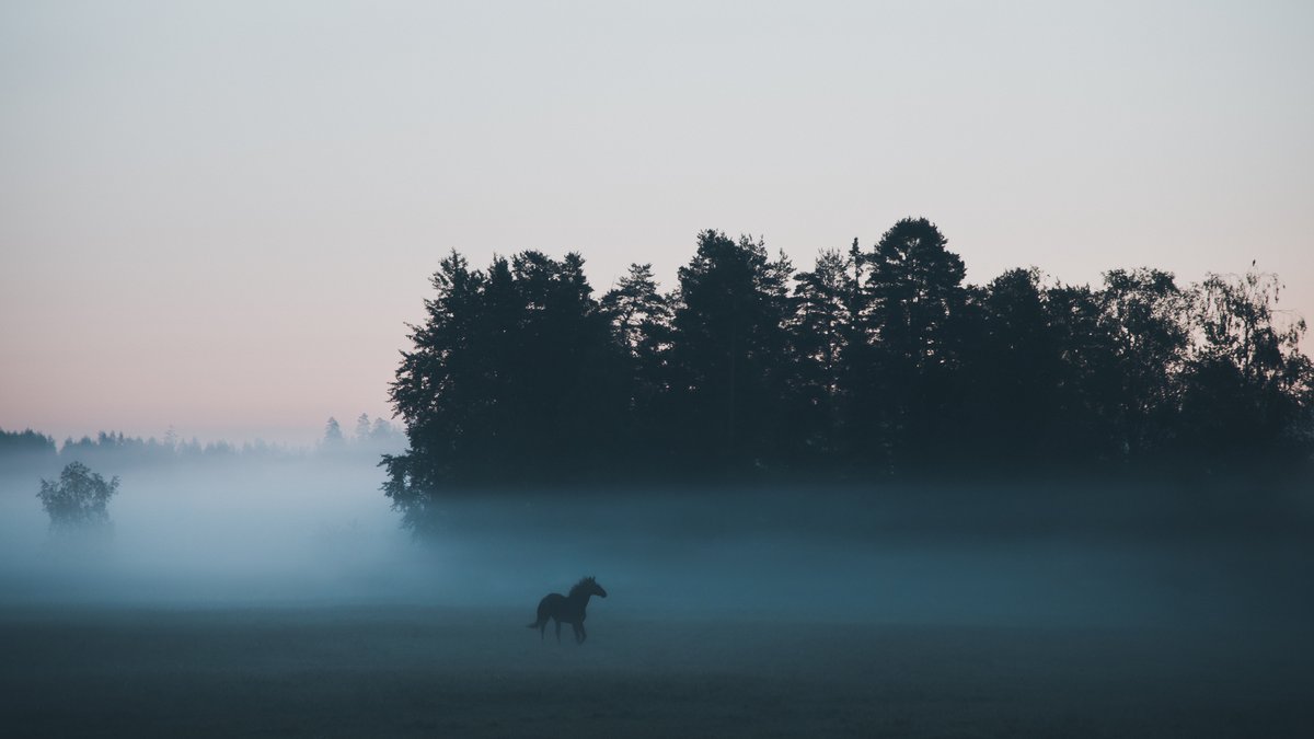 MikkoLagerstedt tweet picture