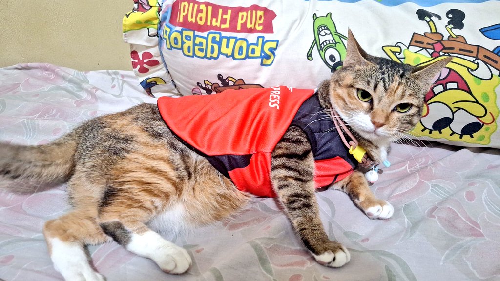 Kurir tidak ramah, paket tidak diantar. Bintang 1 👎