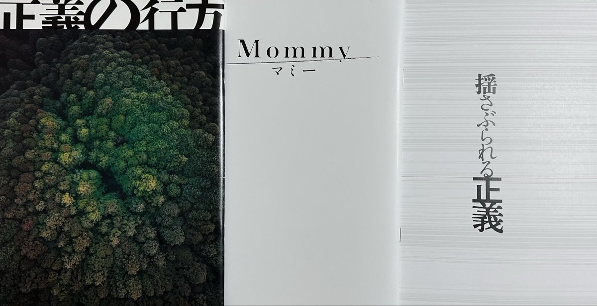 『正義の行方』『マミー』『揺さぶられる正義』それぞれのパンフレットに書いた映画評は（勝手に）3部作的に内容がつながっています。改めてご鑑賞のお供にぜひよろしくお願いします！