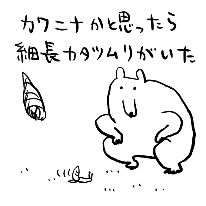 落ちてる細長貝の殻、川砂とかと一緒に資材として運ばれたんだとおもってたのに新たな気づき 