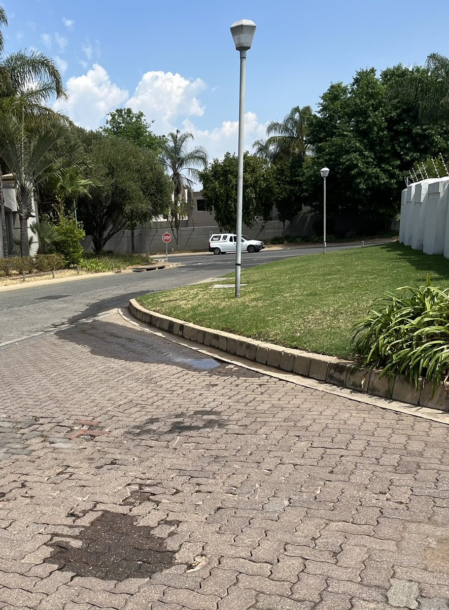 Hilary Wynne tweet media