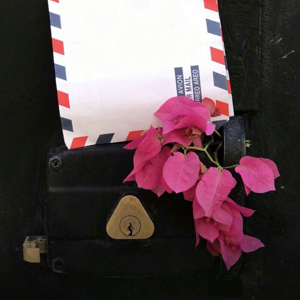 ‏آلَمِـهِرَهِ آلَعَ ـتُيّبّـيّهِ🇸🇦💕💍 tweet media