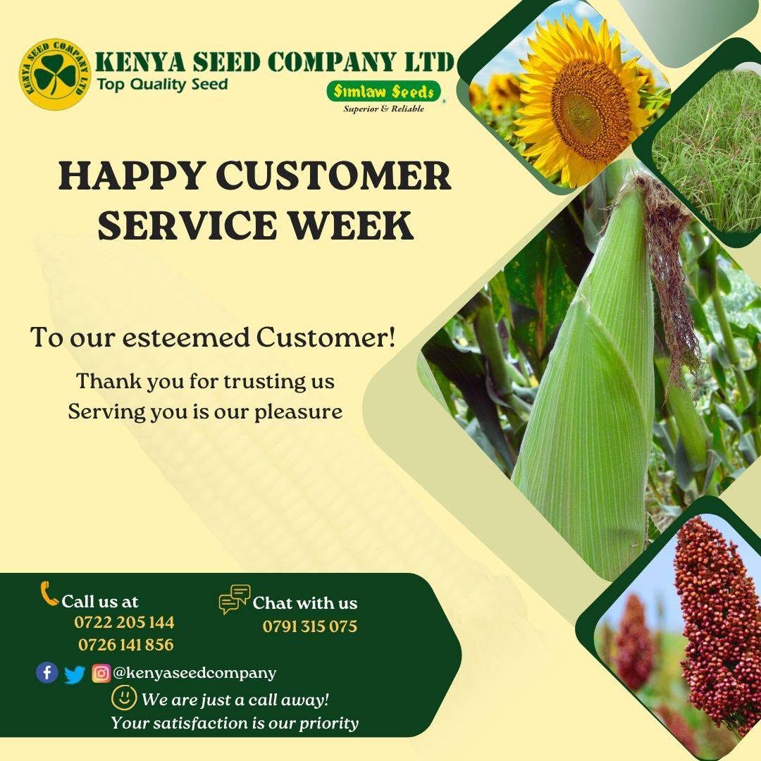 Happy Customer Service Week!