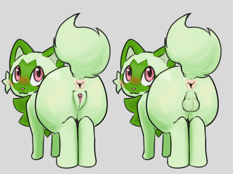 NotKonenn's tweet photo. Right... or Left...????
#Pokemon lol https://t.co/wHcxs97Iwr