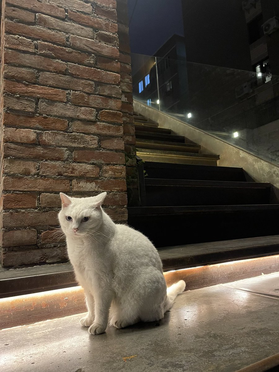 HardyPan1's tweet photo. 终于能休息一下了
#大连 https://t.co/Keqag3cesV