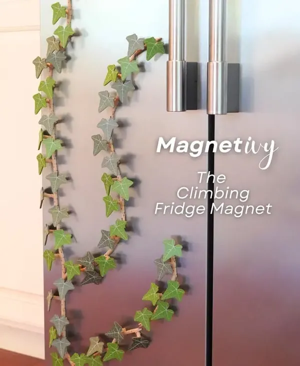 Transform your fridge with the Ivy Fridge Magnet — a customizable vine that organizes notes and photos while adding natural style.