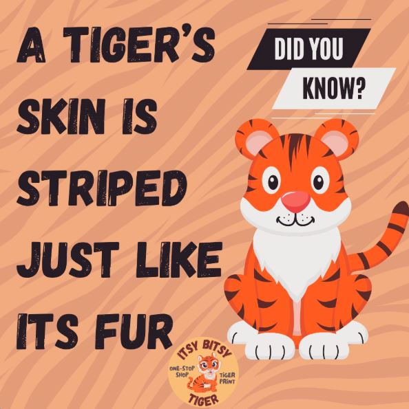 Itsy Bitsy Tiger (@TigerPrintStore) / Posts / X