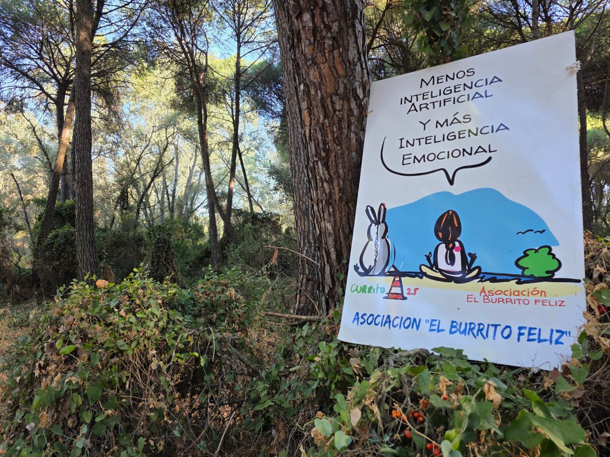 ACTIVIDADES EN EL BOSQUE DE LOS BURRITOS EN HINOJOS (HUELVA). SÁBADO 11 Y DOMINGO 12🌳🌿
Este finde podréis  visitar los burritos y disfrutar de la naturaleza.
⏱️12:00  a 15:30
ENVIA WASSAP AL:
 674775170 
Donativo (7 €) cc:
ES2720854789310330330232
Bizum: 635024984
