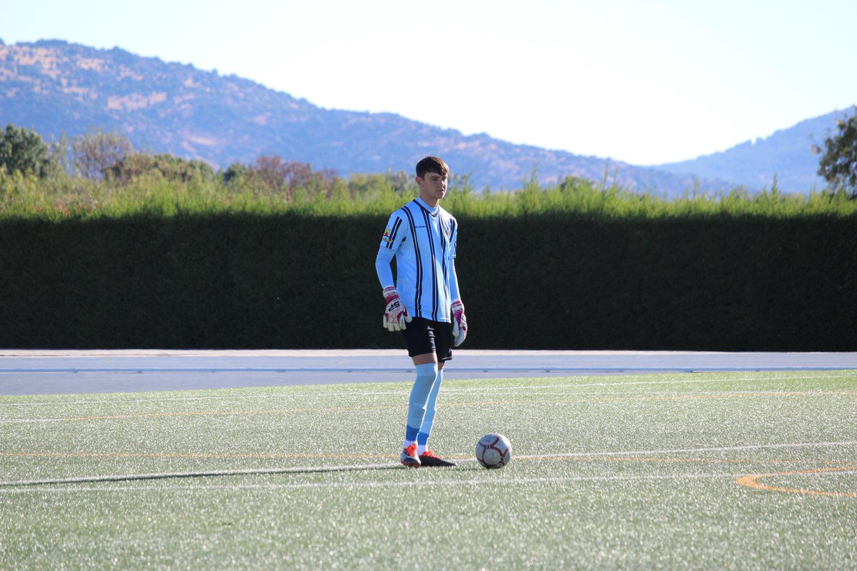 Leones de Castilla tweet media