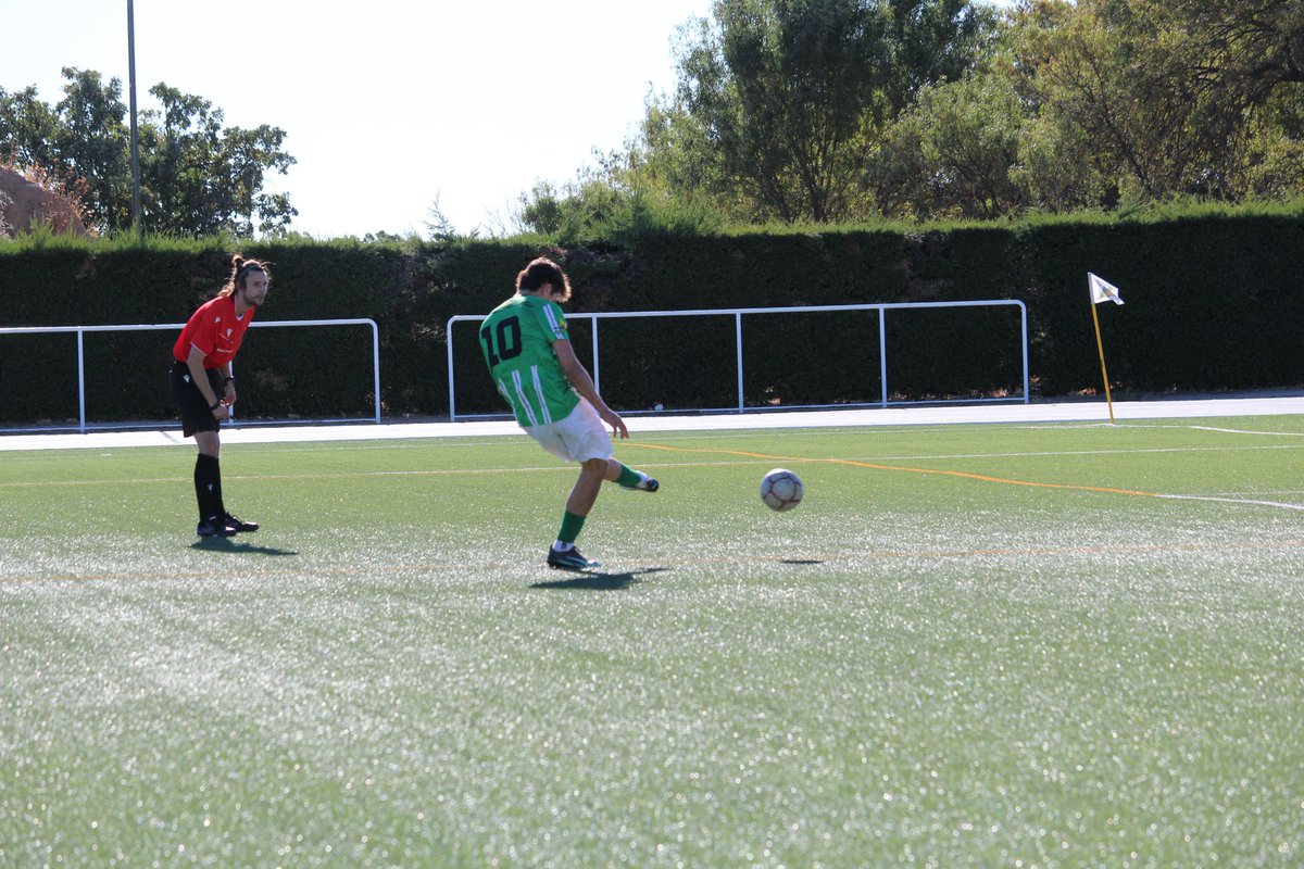 Leones de Castilla tweet media