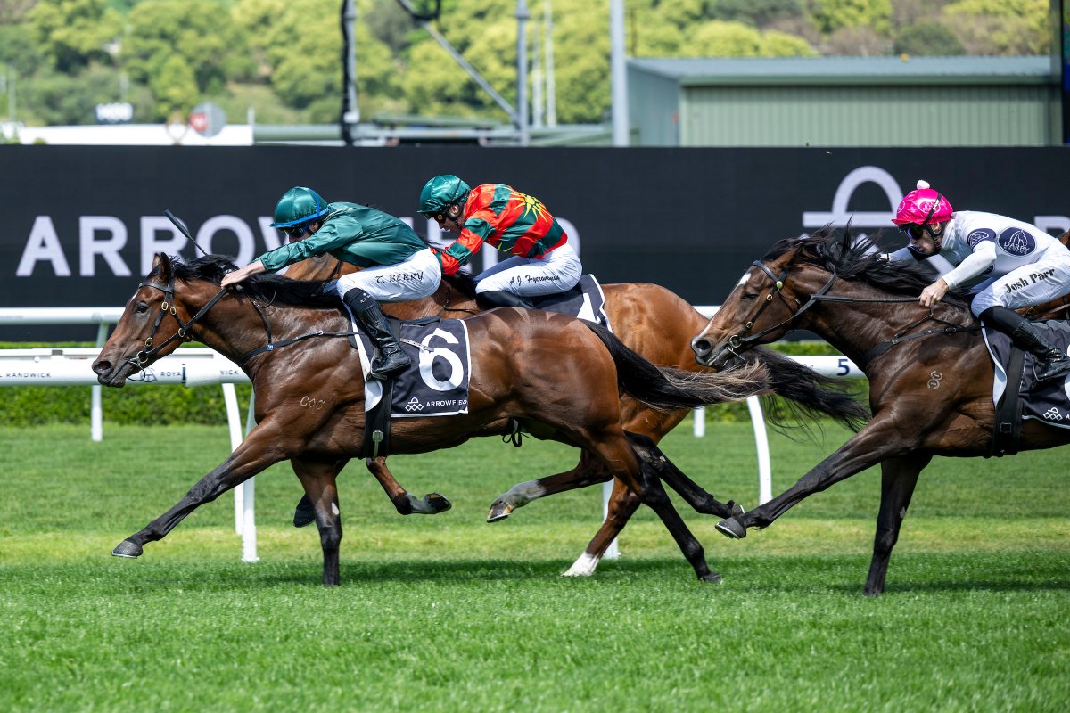 Wednesday, October 08 edition is now live:    

🔶Sectionally Speaking: Epsom Day shows why fast doesn’t tell the full story

🔶Trial Report: Linebacker salutes with Ka Ying Rising held together in third

🔶The TTR Ten with Steve Grant

🔶Wednesday Trivia!

Click to read edition: