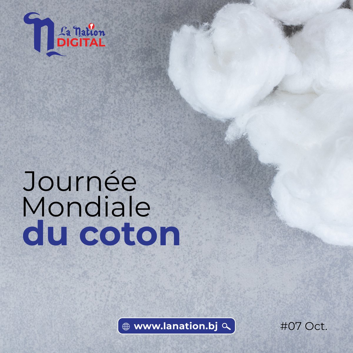 lanationbenin's tweet photo. 𝐋𝐞 𝐜𝐨𝐭𝐨𝐧, 𝐟𝐢𝐛𝐫𝐞 𝐝’𝐚𝐯𝐞𝐧𝐢𝐫
Pilier de l’économie agricole béninoise, le coton soutient des milliers de familles et alimente de nombreuses industries
✨-Du champ à la mode, chaque maillon de la chaîne mérite d’être valorisé.
👉 Soutenons nos producteurs
#LaNation https://t.co/IVV6oGxo7r
