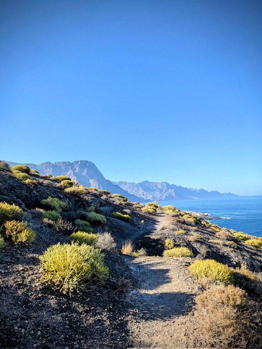 Loco1774's tweet photo. 🌍✨ Just booked my dream escape through Travala using the AVA Smart Program — earning rewards while exploring the world? Yes please! 💎 Diamond membership perks made it smoother than ever. Next stop: paradise. #TravelSmart

Tagging the magic makers: @travalacom @AVAFoundation https://t.co/ZzRL1slPua