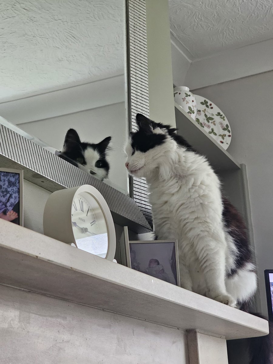 Billie & Charlie tweet media