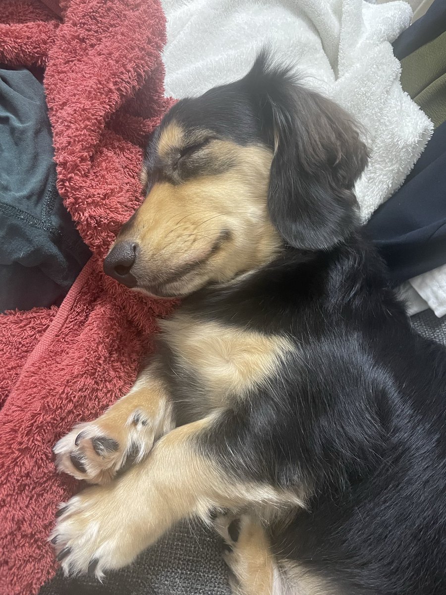 ◆ ぽこた  ② ぽこぽこ配色ジャガードオーバーサイズニット＜大きいサイズ有