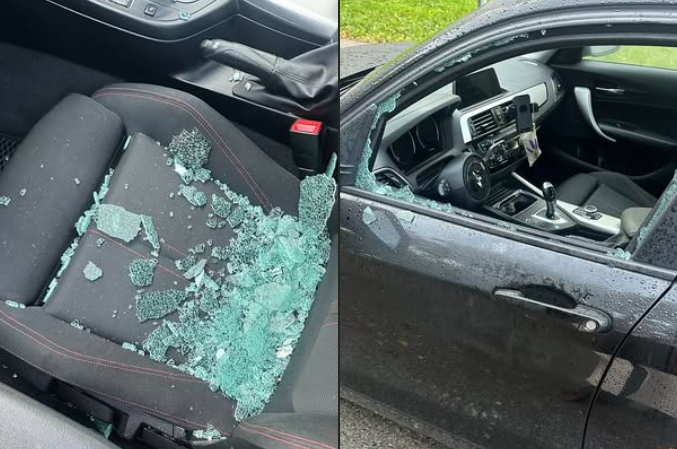 ✸DM✸ tweet media