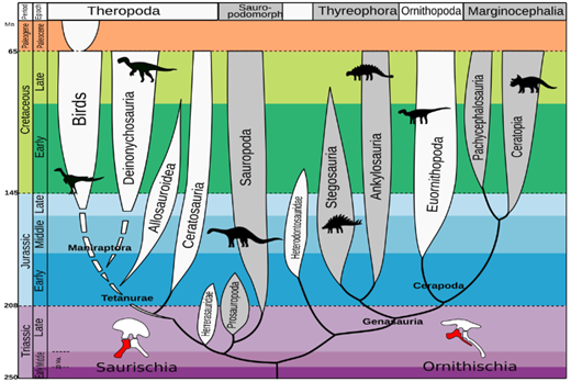 Tied2Teeth's tweet photo. From shredders to slicers, from mower to spears… Dinosaur dental diversity mirrored their diets and niches; this adaptability in feeding strategies was likely a major key to their 200 million years of evolutionary success.
Credit Image: https://t.co/UUzTi9jMOO https://t.co/CB9f62OK8J