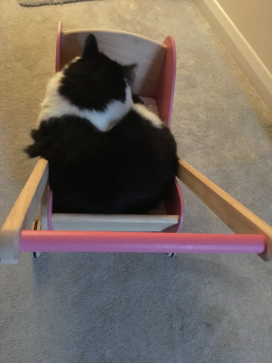 Billie & Charlie tweet media