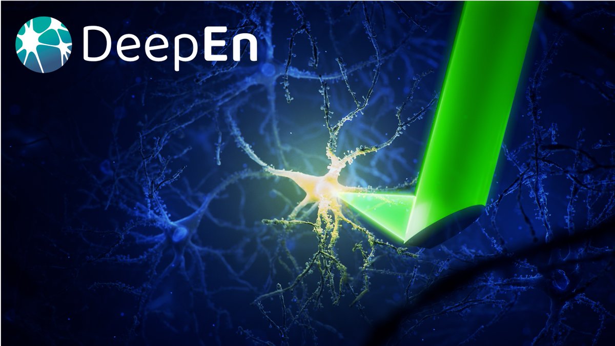 DeepEn_imaging's tweet image. What do neuroscientists think of #DeepEn&apos;s holographic microendoscope?
Can you use it to study memory or processes behind neuronal firing?
Check the Nature’s article showcasing DeepEn One.
🔗 Read the full article: nature.com/articles/d4247…
#Neuroscience #NeuroImaging #Neurotech