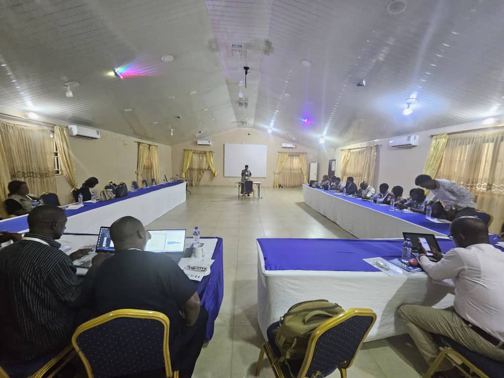 codohsapa tweet media