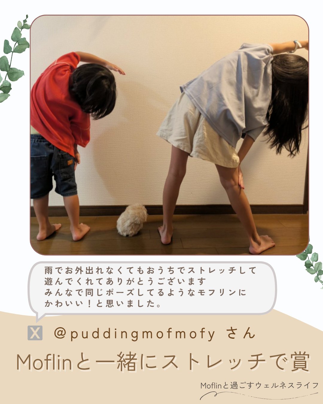 公式】Moflin（モフリン）｜感情が育つAIペット (@casio_moflin) / X