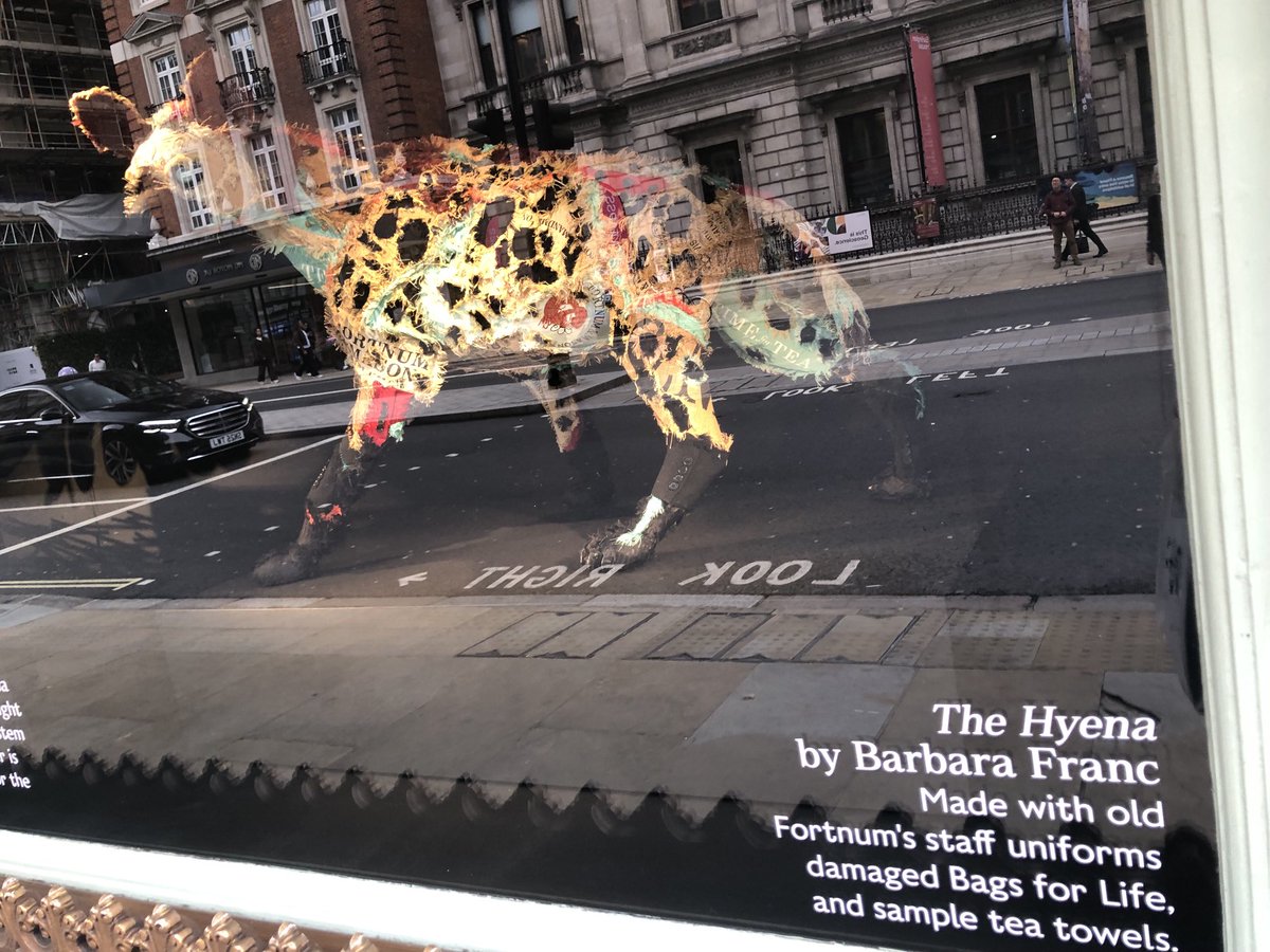 Lissa Evans tweet media