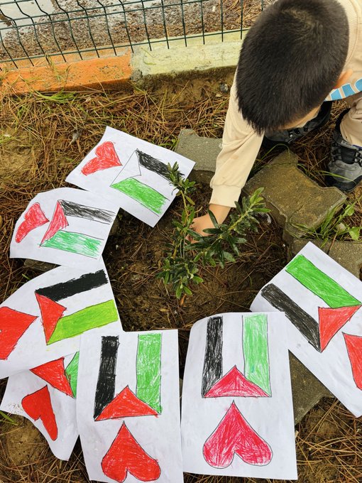 First image shows a young boy kneeling beside a small green plant in soil surrounded by a circular arrangement of child-drawn paper flags in Palestinian colors of black, white, green, and red triangles, along with heart shapes, all placed on the ground near a chain-link fence and stone border in an outdoor school area. Second image depicts several child-drawn paper hearts and Palestinian flags hanging from a chain-link fence in a rainy outdoor schoolyard with a small olive plant in the foreground and buildings in the background. Third image displays a bulletin board covered with numerous childrens crayon drawings including Palestinian flags, hearts, doves, olive branches, and text messages supporting free Palestine in Turkish and English, featuring symbols like hands and Turkish flags alongside. Fourth image captures a classroom scene with uniformed schoolchildren at desks drawing on white paper with crayons and markers, creating shapes like hearts and flags, surrounded by school supplies such as backpacks, colored pencils, and glue sticks on red-trimmed tables.