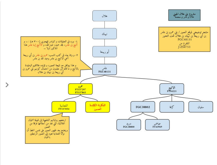 فرسان fgc7 بنو هلال و بنو كعب